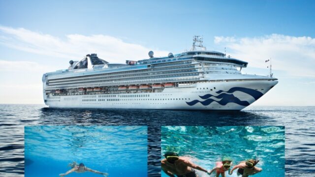 Captura de pantalla 2026-02-20 191726