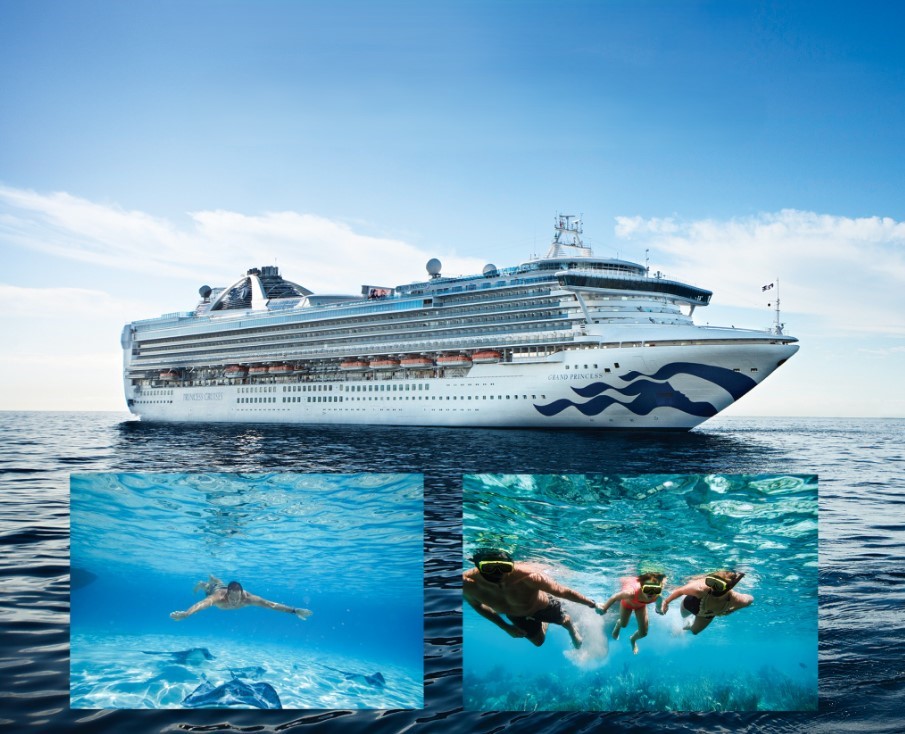 Captura de pantalla 2026-02-20 191726