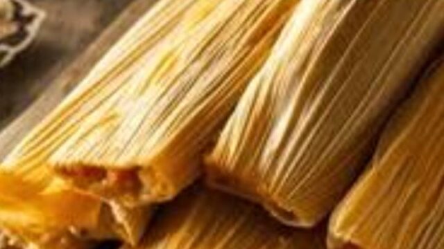 WhatsApp Image 2026-02-19 at 9.11.18 PM