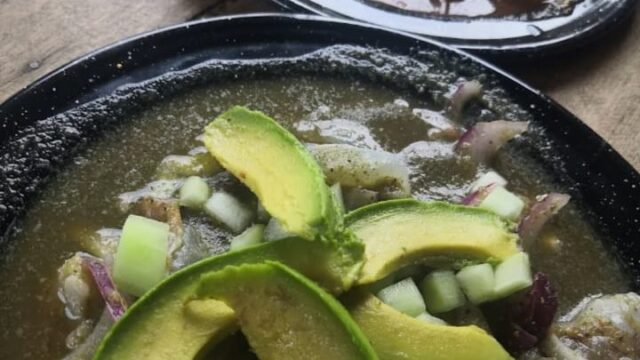 WhatsApp Image 2026-02-19 at 9.12.51 PM