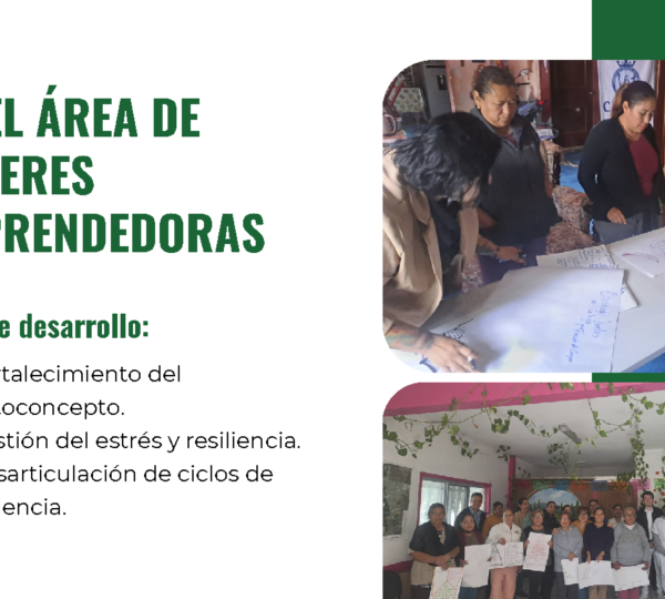 Centro educativo Maktub