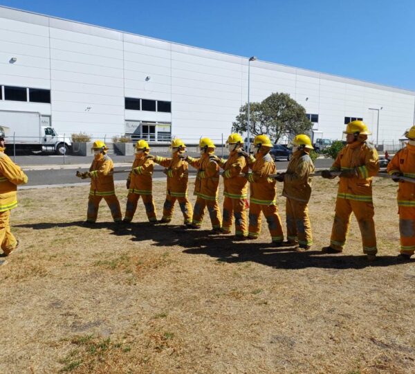 FB JORBEL CONSULTORES